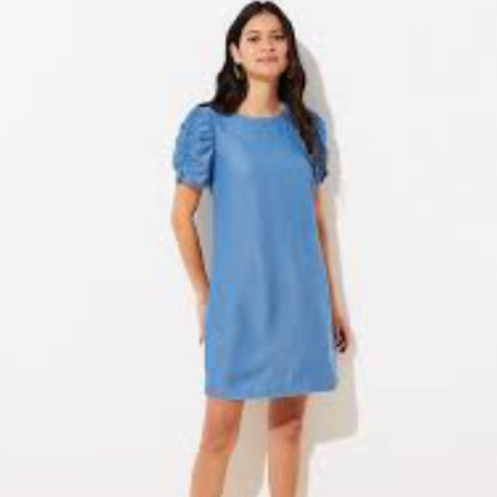 LOFT Chambray Ruched Sleeve Shirt Dress | 2